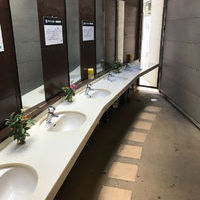 筑波山 男体山 山頂 ケーブルカー駅の登山トイレ